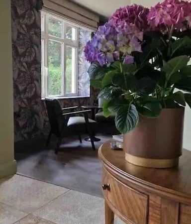 Luxury Eleven Bedroom House Sleeps 23 5-10 Mins Walk From Town Centre Holiday home Killarney